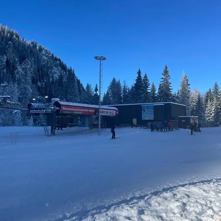 Joy 29 * Jahorina