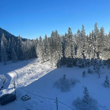 Joy 29 Jahorina